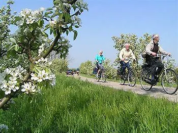 De Twee Linden Hotel 4*